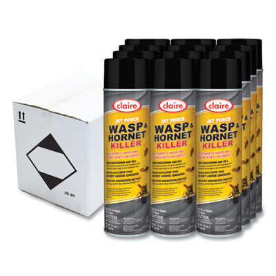 CGC005 INSECTICIDE,WASP KILL,12