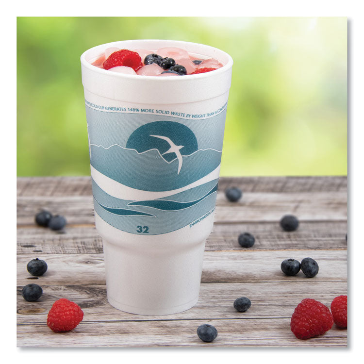 Horizon Hot/Cold Foam Drinking Cups, 32 oz, White/Teal, 16/Bag, 25 Bags/Carton