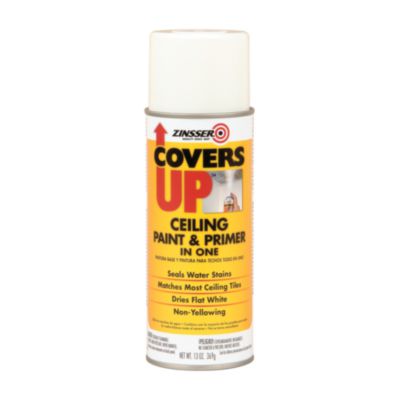 RST3688CT PAINT,Z,SCUP,RM,13OZC,GY