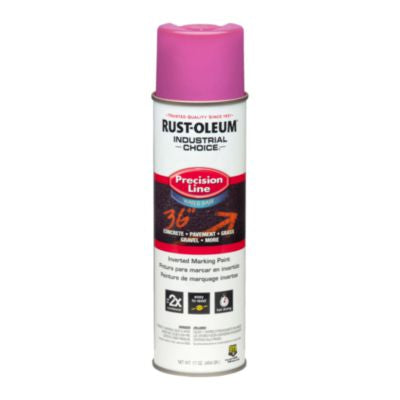 RST1868838 PAINT,ROM1800,SOR,PP