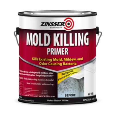 RST276049CT PAINT,Z,MK,PR,SP,GALC,WH
